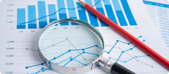 Market Research and Analysis
